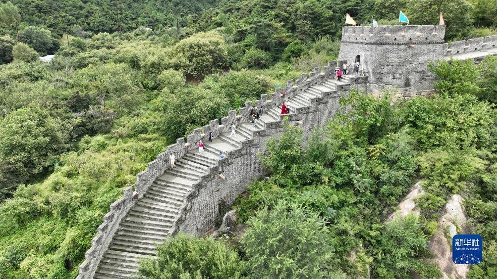澳门威尔斯人老品牌